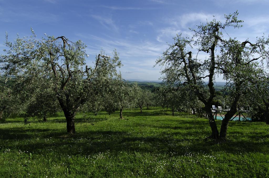 קסטלנואובו ברארדנגה Agriturismo Poggio Bonelli מראה חיצוני תמונה