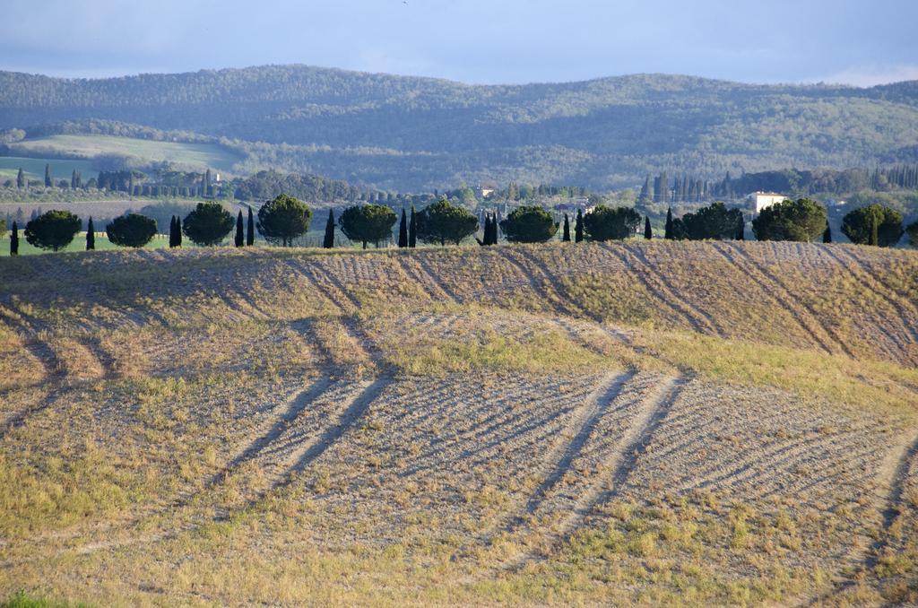 קסטלנואובו ברארדנגה Agriturismo Poggio Bonelli מראה חיצוני תמונה