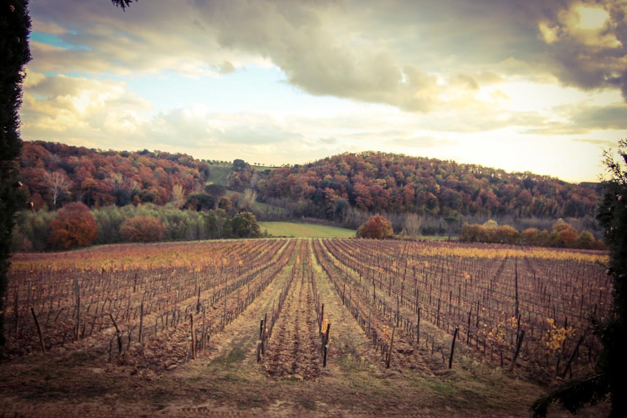 קסטלנואובו ברארדנגה Agriturismo Poggio Bonelli מראה חיצוני תמונה