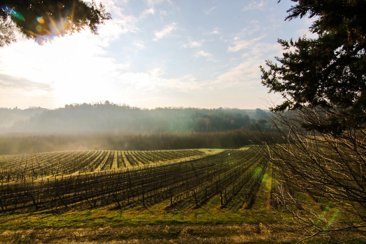 קסטלנואובו ברארדנגה Agriturismo Poggio Bonelli מראה חיצוני תמונה