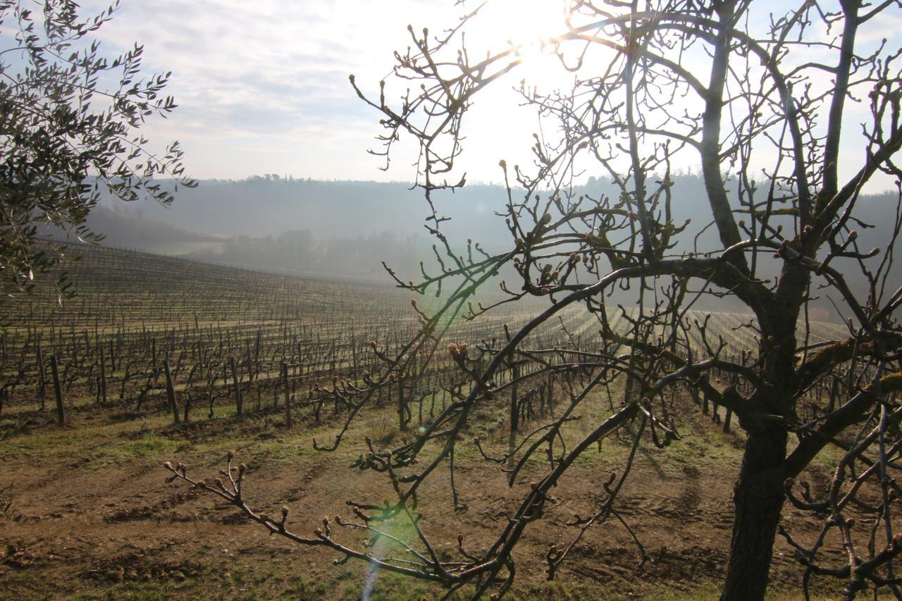 קסטלנואובו ברארדנגה Agriturismo Poggio Bonelli מראה חיצוני תמונה
